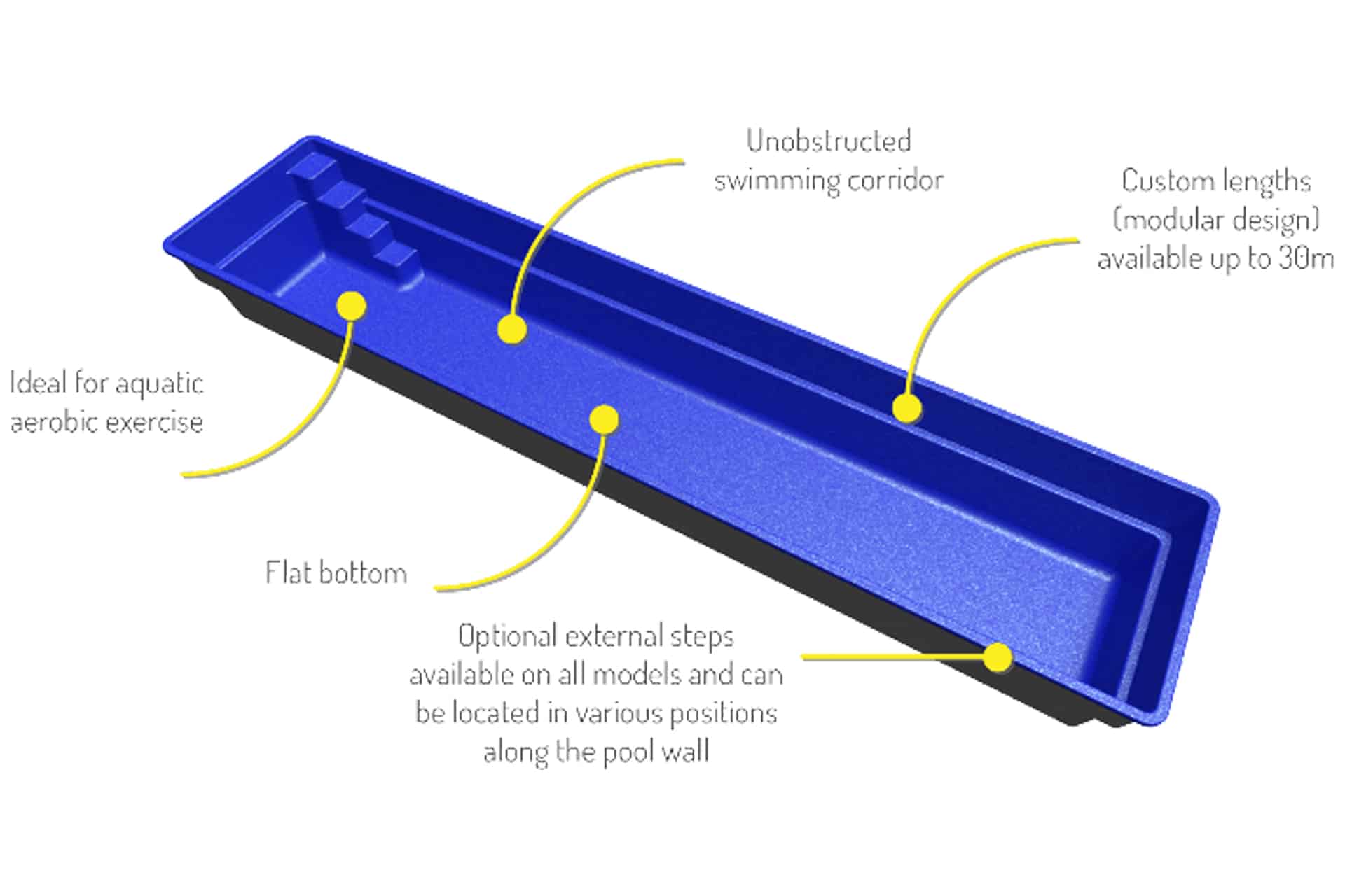 3D render of a blue lap pool