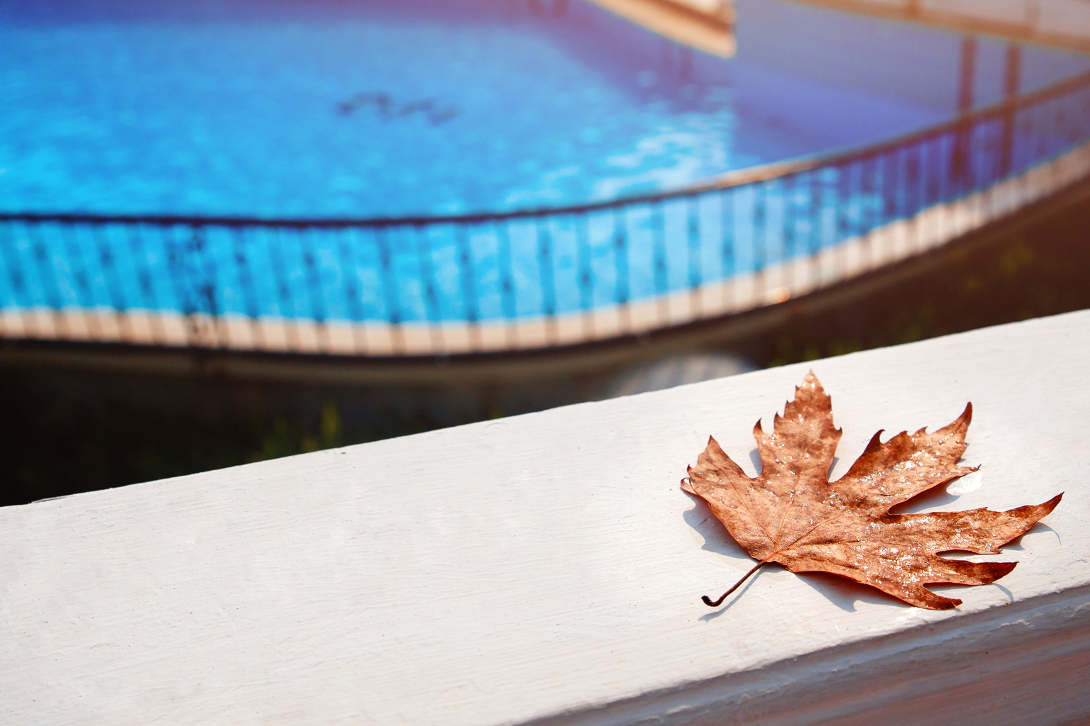 How to Keep Your Pool Clean and Protected This Winter