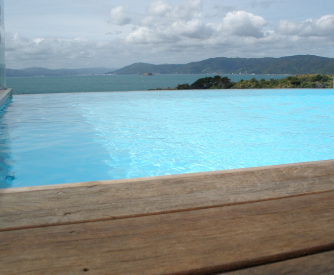 Infinity pool fencing beside a coastal pool with ocean and hills in the background