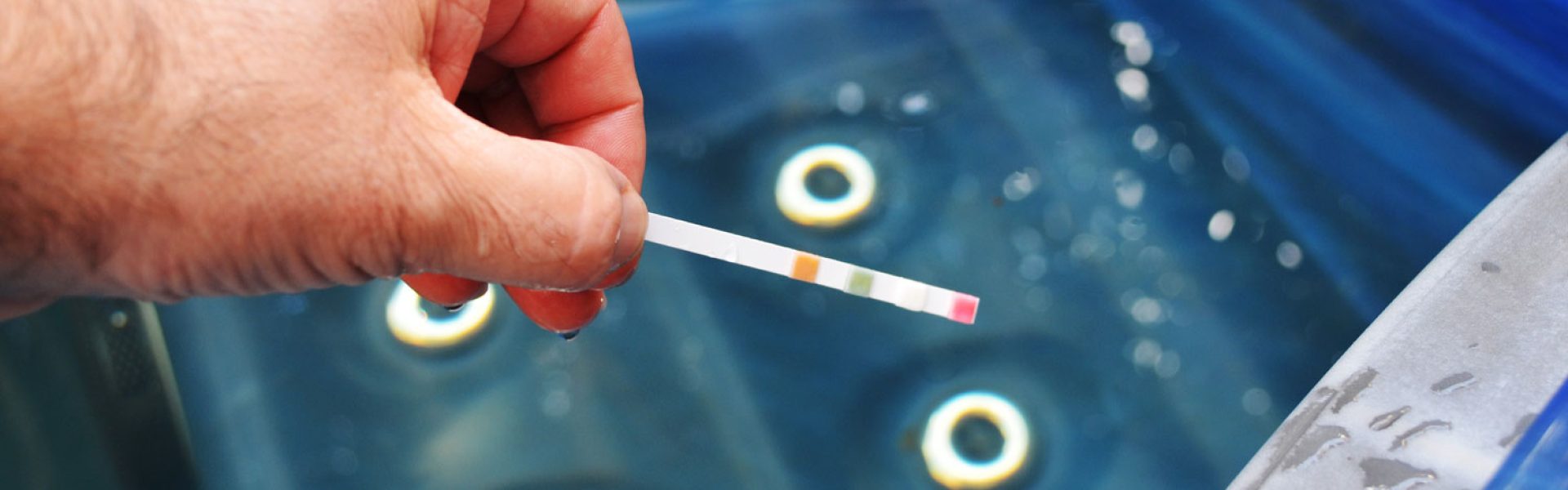 ph detector test above pool