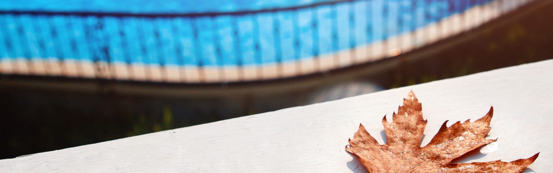 How to Keep Your Pool Clean and Protected This Winter